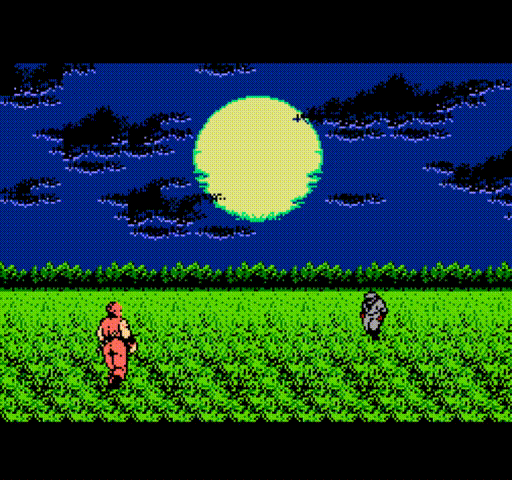 ninja-gaiden.gif